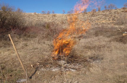 Agricultura baraja una “posible modificación legal” para la quema de cultivos leñosos