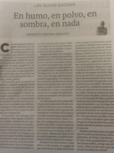 artículo diario ideal incendios eduardo Medina