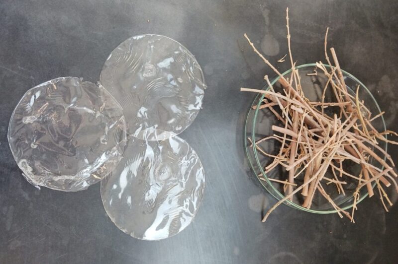 Desarrollan un bioplástico transparente a partir de residuos de la poda del olivo